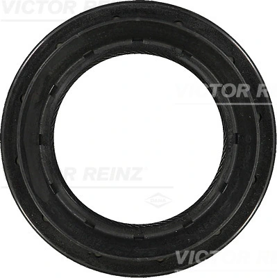 Shaft Seal, differential